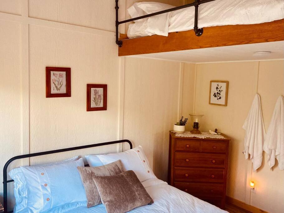 Ski-In Chalet: Private Hot Tub, Bonus Bunk House Ферни Экстерьер фото