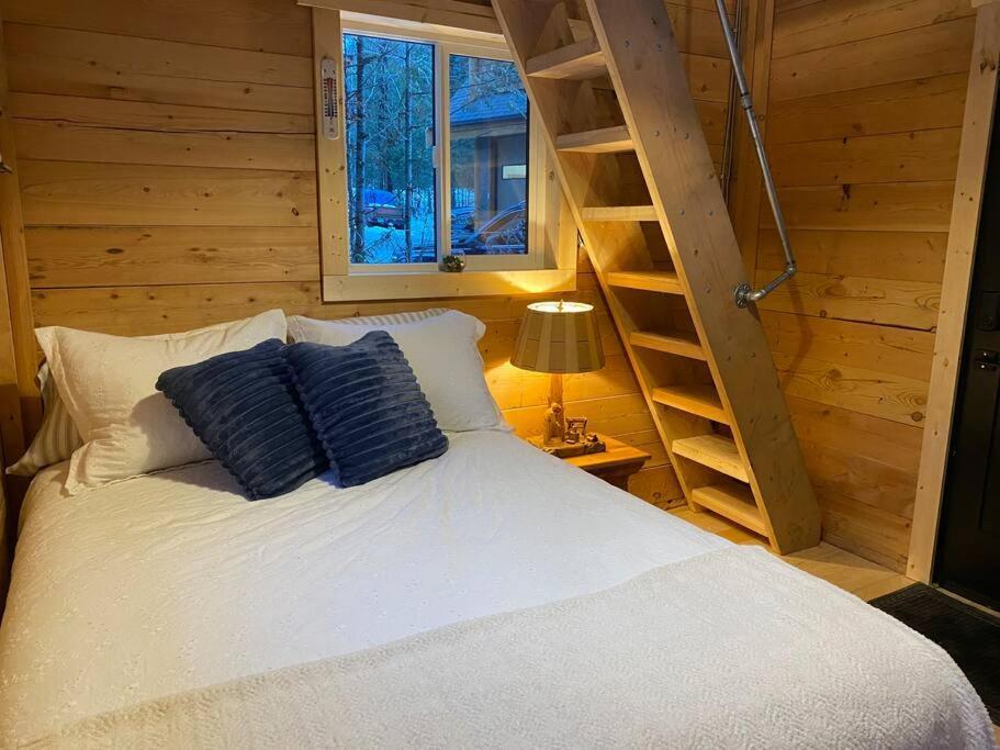 Ski-In Chalet: Private Hot Tub, Bonus Bunk House Ферни Экстерьер фото